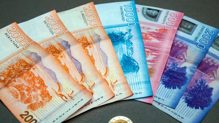 Bono De Protección 19 Marzo