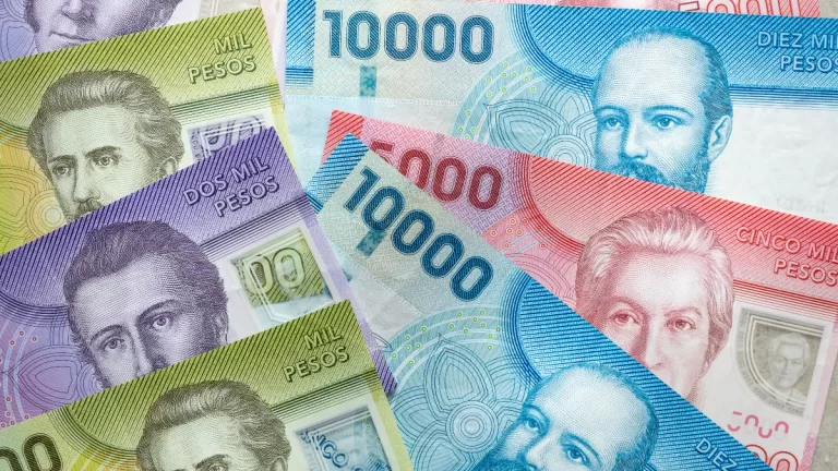 Bono De Protección 8 3