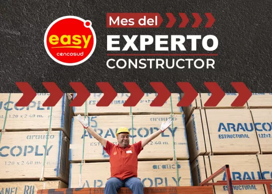 Nota Experto Easy