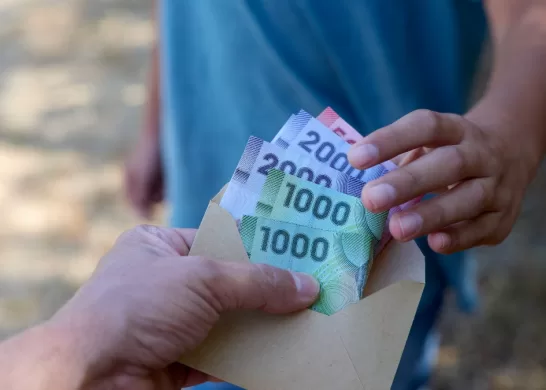 Bono De Protección 19 04