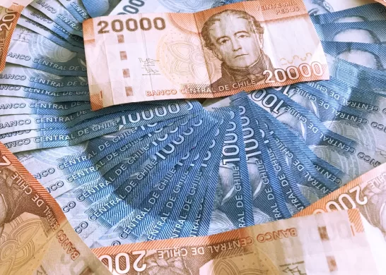 Bono Para Cesantes 20 04