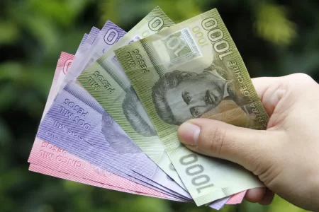 Bonos Para Cesantes 24 Abril