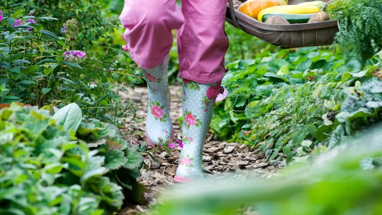 Botas De Agua