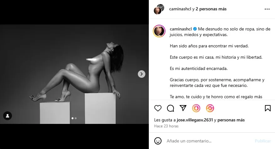 Instagram@caminashcl