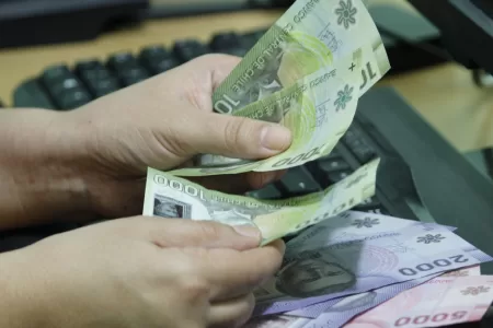 Bono De Protección 2 5