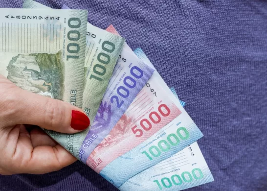 Bono De Protección 5 5