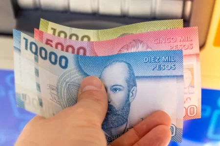 Bonos Para Cesantes 5 5