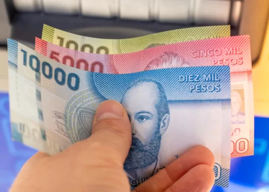 Bonos Para Cesantes 5 5