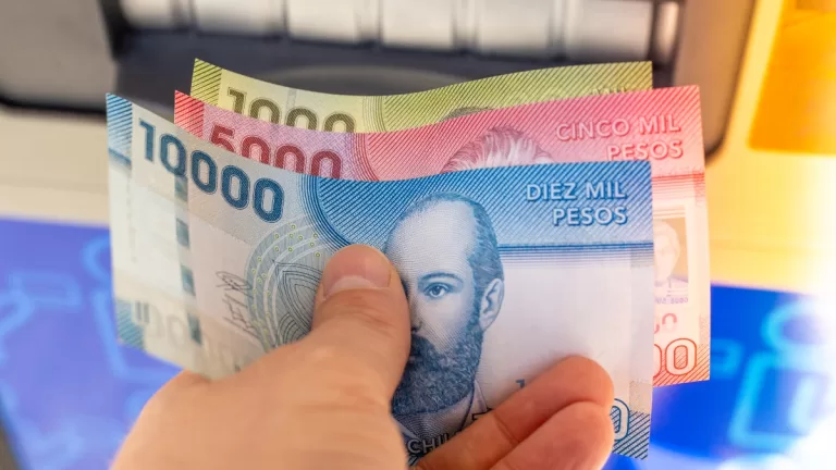 Bonos Para Cesantes 5 5