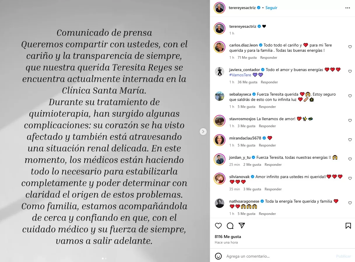 Instagram @terereyesactriz 1