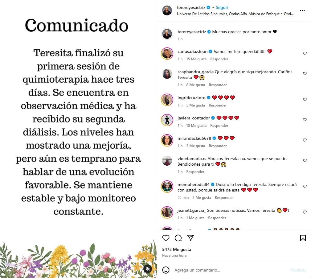 Instagram @terereyesactriz 4