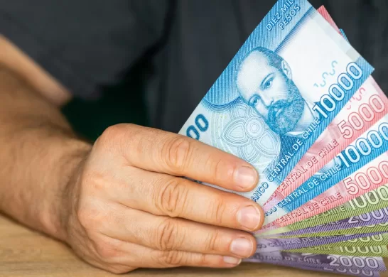 Bonos Para Cesantes 29