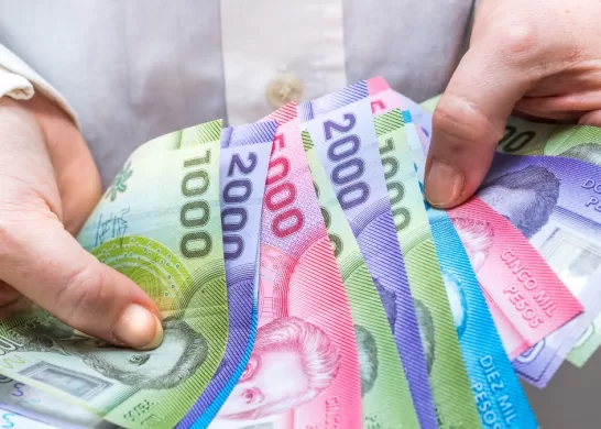 Bono De Protección 7_6