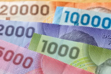 Bonos Para Cesantes 20 Junio