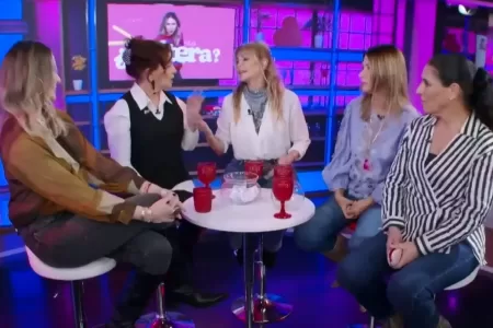 Francisca Merino Panelista Renuncia