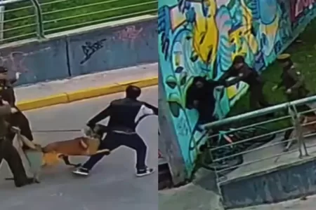 Heroica Acción De Perrito De Carabineros