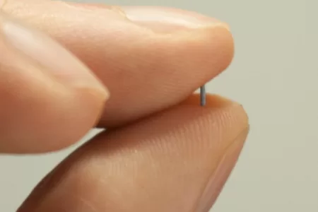 Semillas Radiactivas