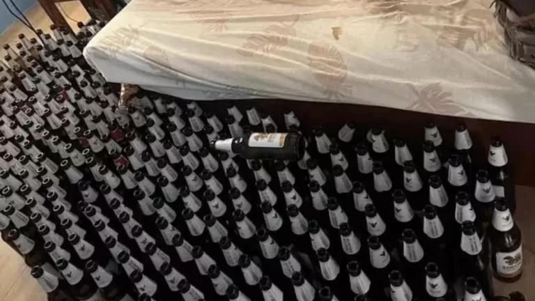Cerveza