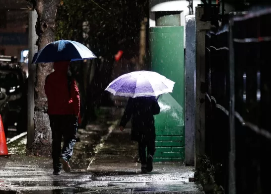 Regresa La Lluvia A Santiago, Alejandro Sepulveda