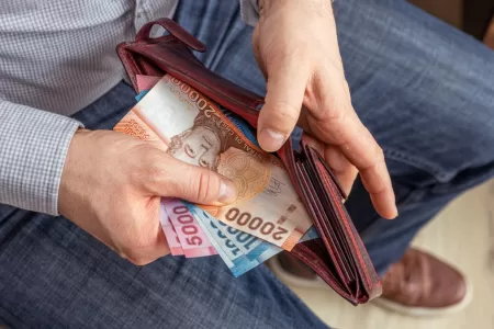 Bono Para Cesantes 12 8