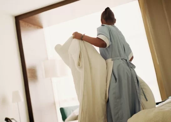 El Chacotero Sentimental (2)