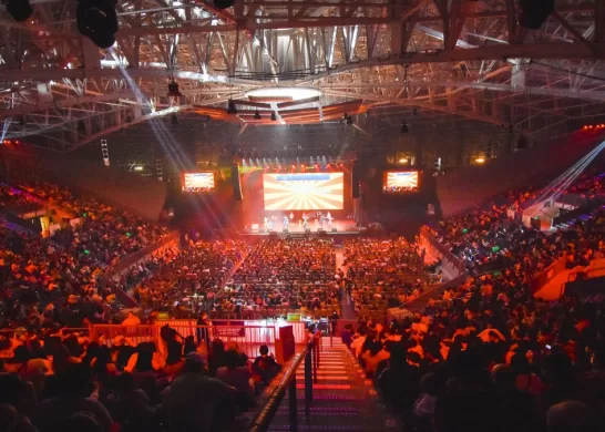 Festikids Todo Lo Que Debes Saber