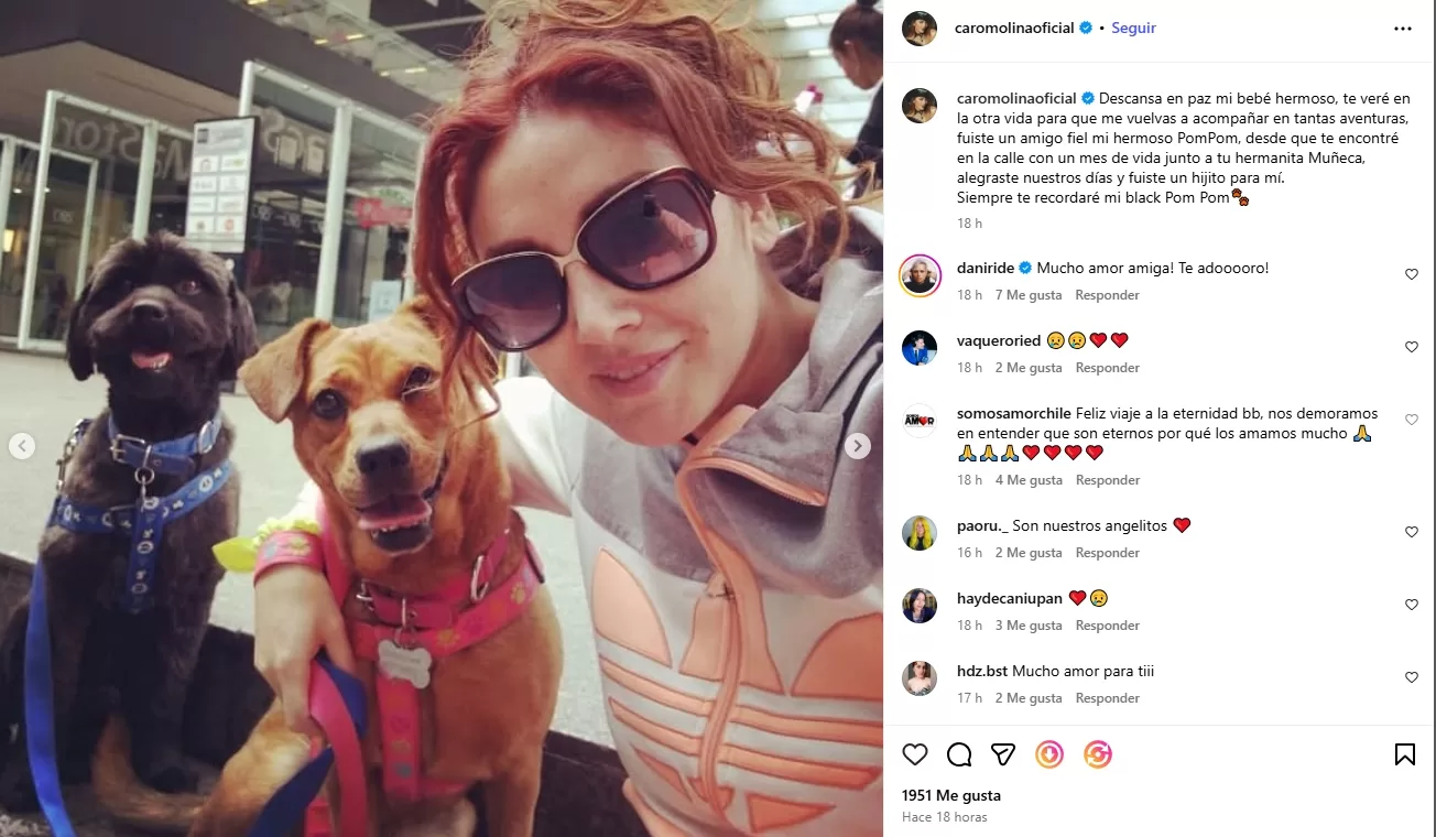 Instagram@caromolinaoficial