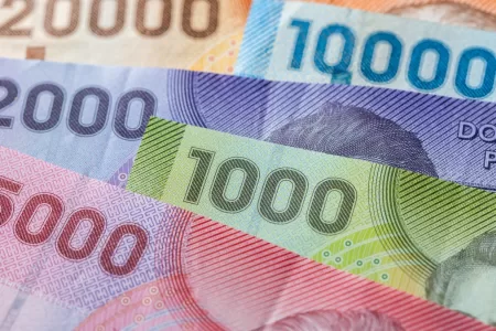 Bono Para Cesantes 18 8