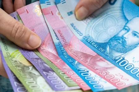 Bonos Para Cesantes 19 8