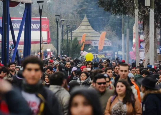 Fonda Parque Ohiggins Artistas