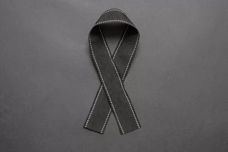 Muerte De Actriz Por Picadura