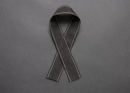 Muerte De Actriz Por Picadura