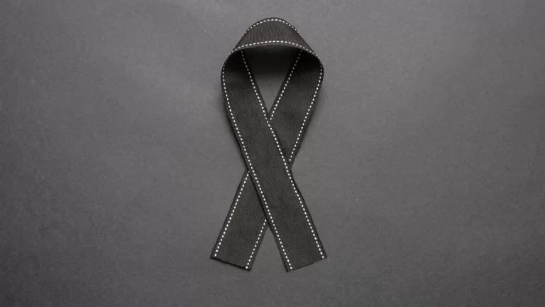 Muerte De Actriz Por Picadura