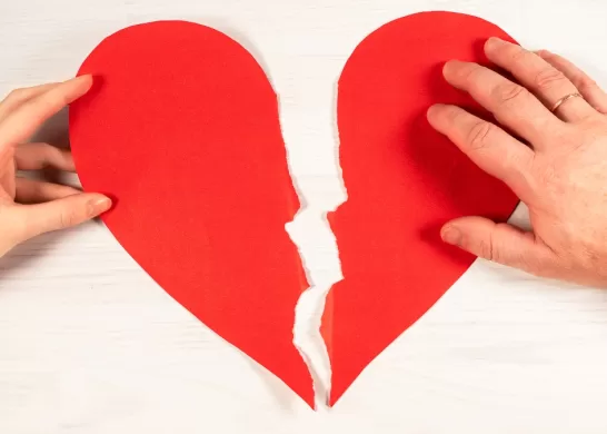 Termino De Rafa Cavada