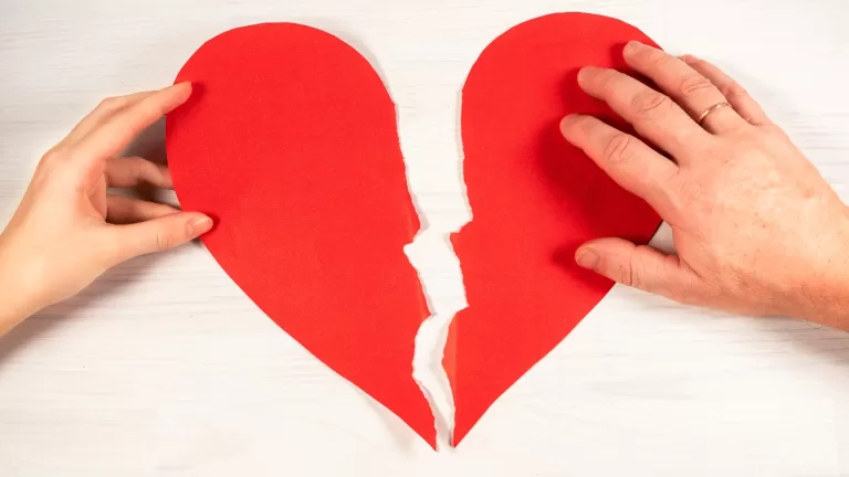 Termino De Rafa Cavada