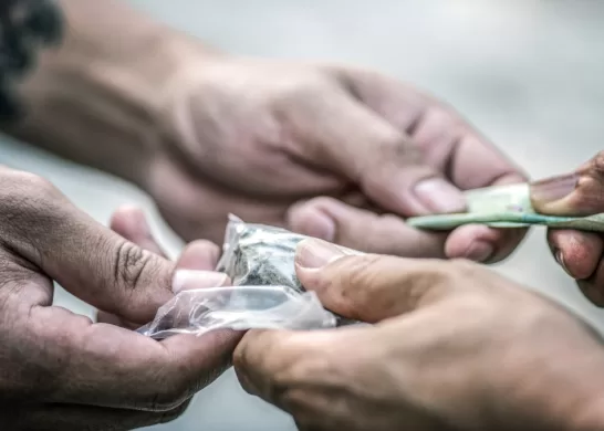 El Chacotero Sentimental 24 10