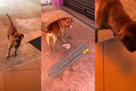 Viral De Perro