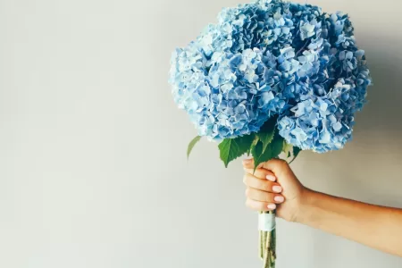 Flores Azules 3 De Octubre