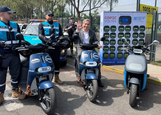 Nueva Seguridad En Peñalolén