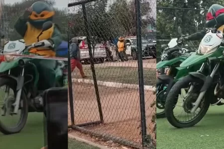 Detención Carabineros Tortugas Ninja