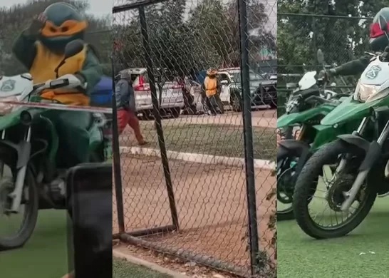 Detención Carabineros Tortugas Ninja