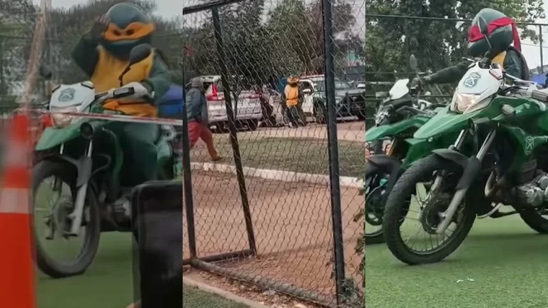 Detención Carabineros Tortugas Ninja