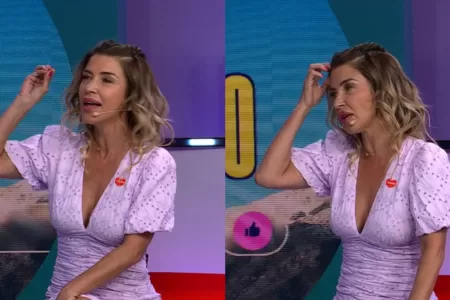 Pancha Merino En Plan Perfecto