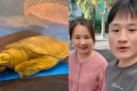 Yuhui Lee Responde A Las Críticas