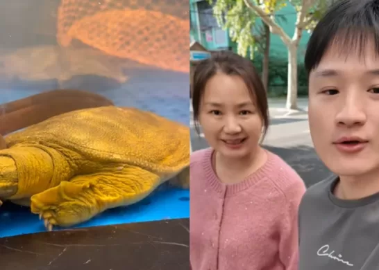 Yuhui Lee Responde A Las Críticas