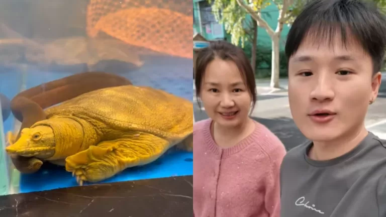 Yuhui Lee Responde A Las Críticas