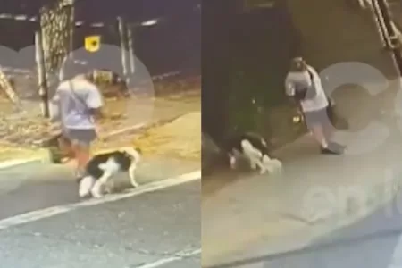 Triple Homicidio En La Reina