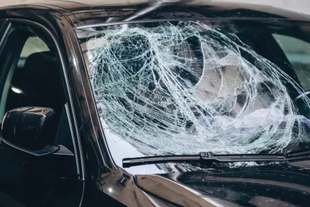 Chacotero Sentimental 4 12