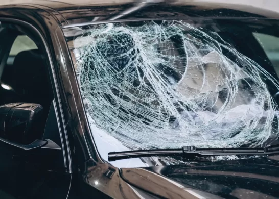 Chacotero Sentimental 4 12