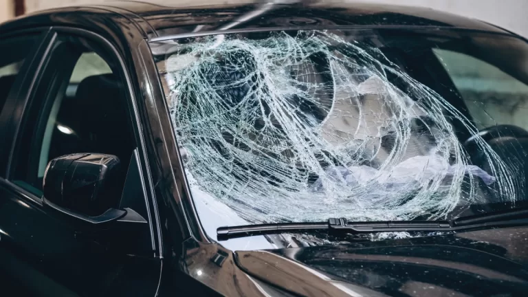 Chacotero Sentimental 4 12